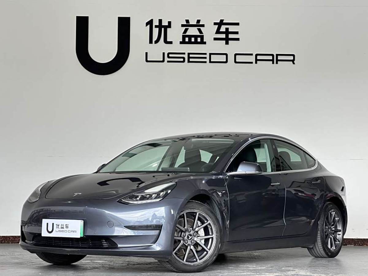 2020年4月特斯拉 Model 3  2019款 長續(xù)航后驅(qū)版