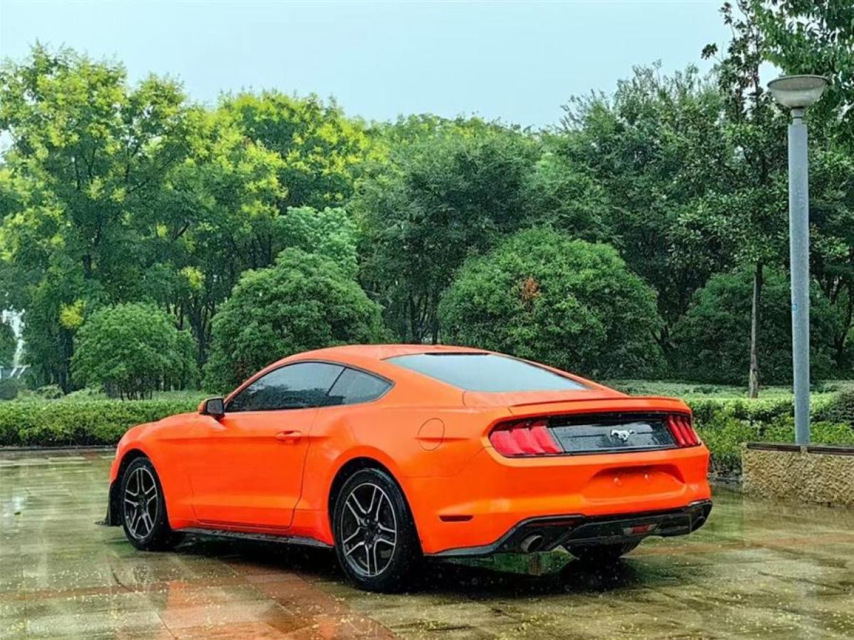 福特 Mustang  2019款 2.3L EcoBoost圖片