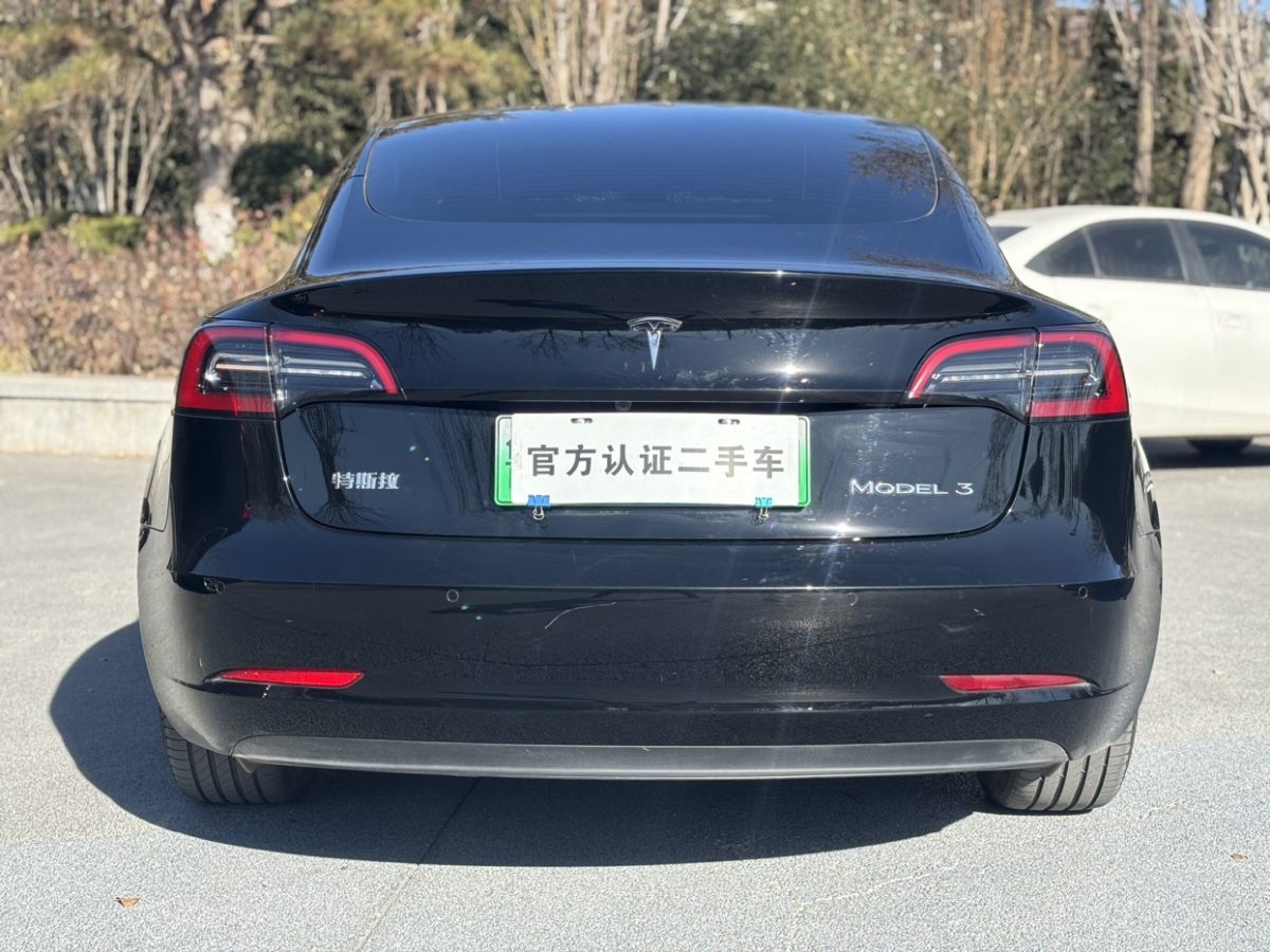 特斯拉 Model 3  2022款 后輪驅(qū)動(dòng)版圖片