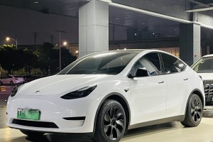 Model 3 特斯拉 改款 长续航后轮驱动版