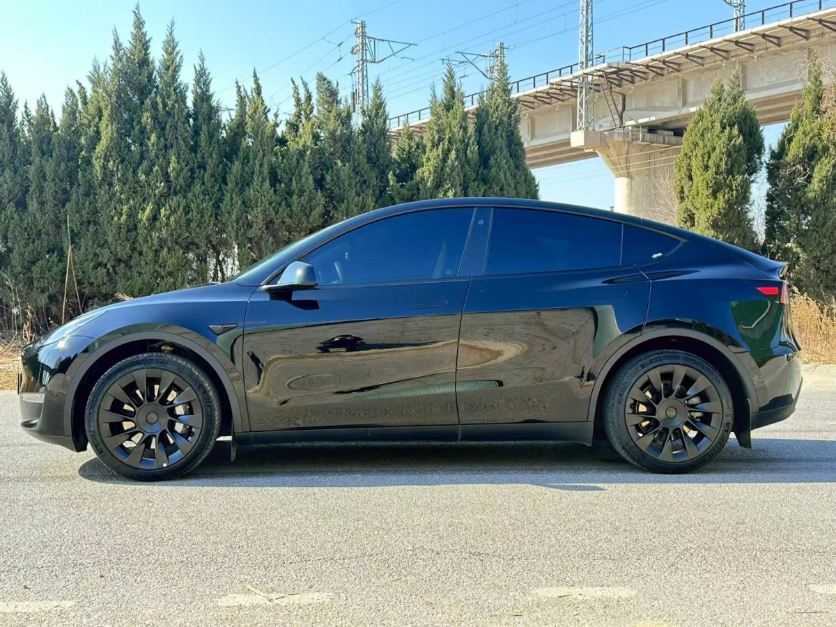 特斯拉 Model Y  2023款 長續(xù)航全輪驅(qū)動版圖片