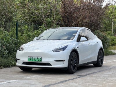 2022年6月 特斯拉 Model Y Performance高性能全輪驅(qū)動版圖片