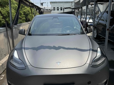 2021年6月 特斯拉 Model Y 長續(xù)航全輪驅(qū)動版 3D7圖片
