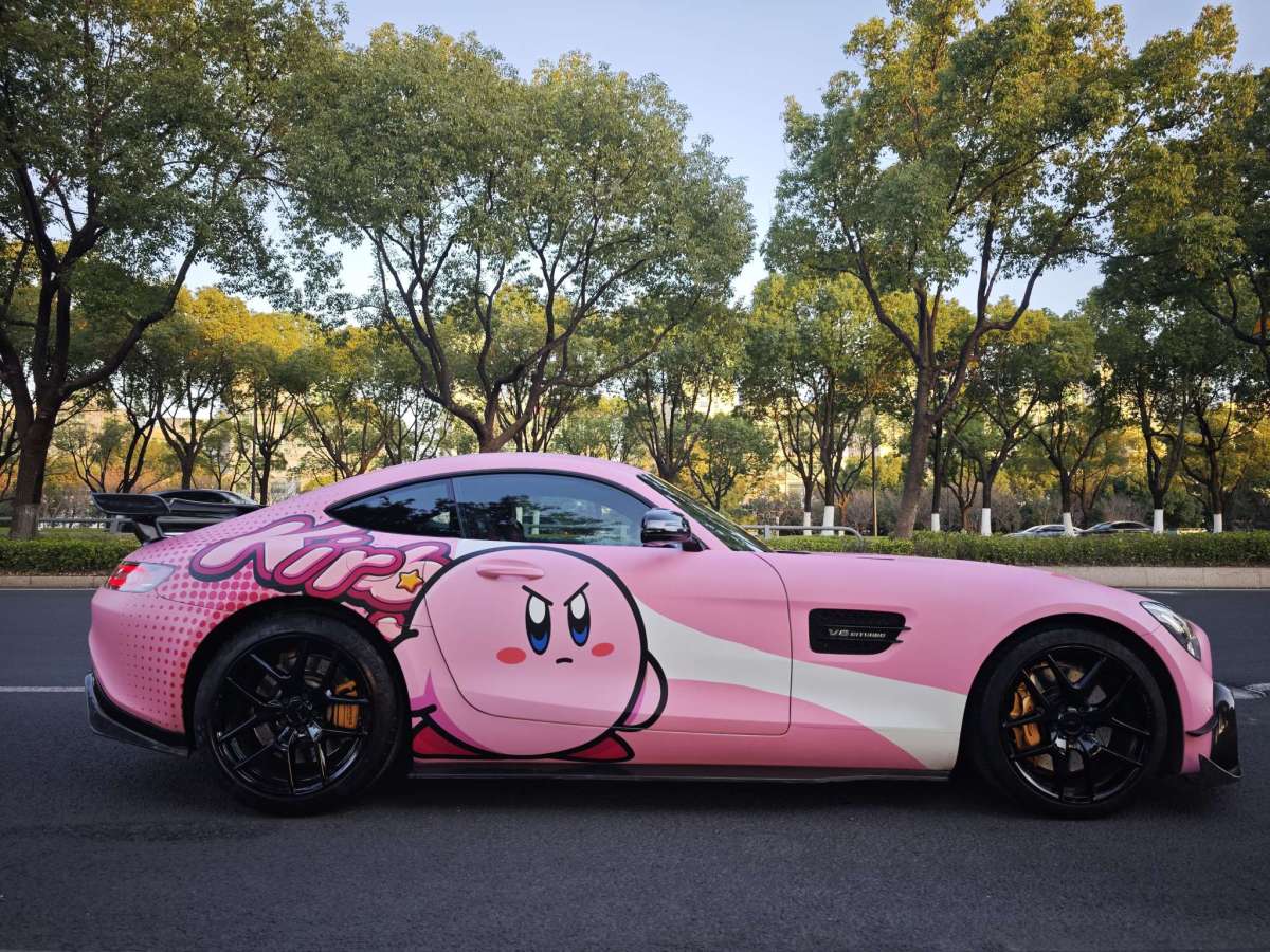 奔馳 奔馳AMG GT  2019款 AMG GT圖片