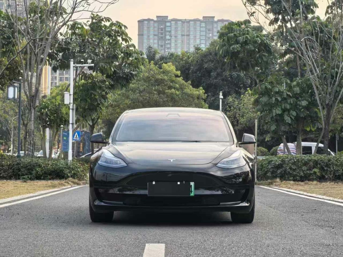 特斯拉 Model Y  2021款 標準續(xù)航后驅(qū)版圖片