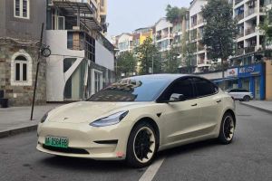 Model 3 特斯拉 標(biāo)準(zhǔn)續(xù)航后驅(qū)升級(jí)版