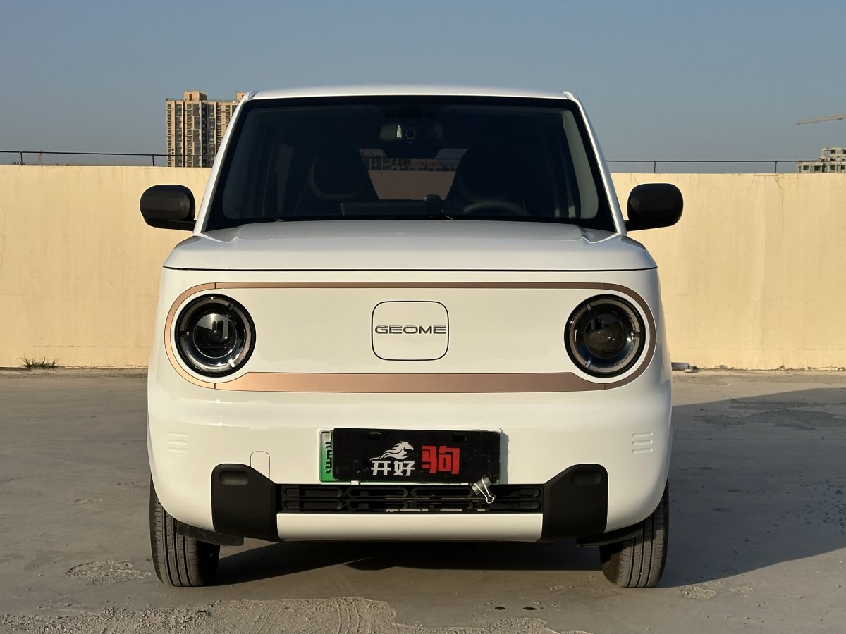 吉利 熊貓mini  2023款 200km 耐力熊圖片