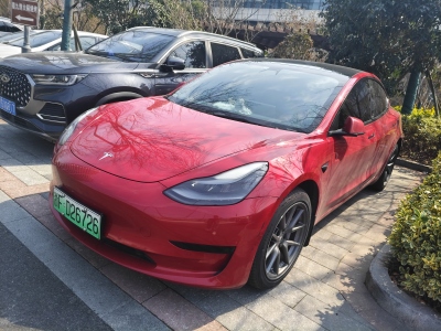 2021年5月 特斯拉 Model 3 標(biāo)準(zhǔn)續(xù)航后驅(qū)升級(jí)版 3D6圖片