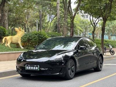 2021年4月 特斯拉 Model 3 標(biāo)準(zhǔn)續(xù)航后驅(qū)升級(jí)版圖片