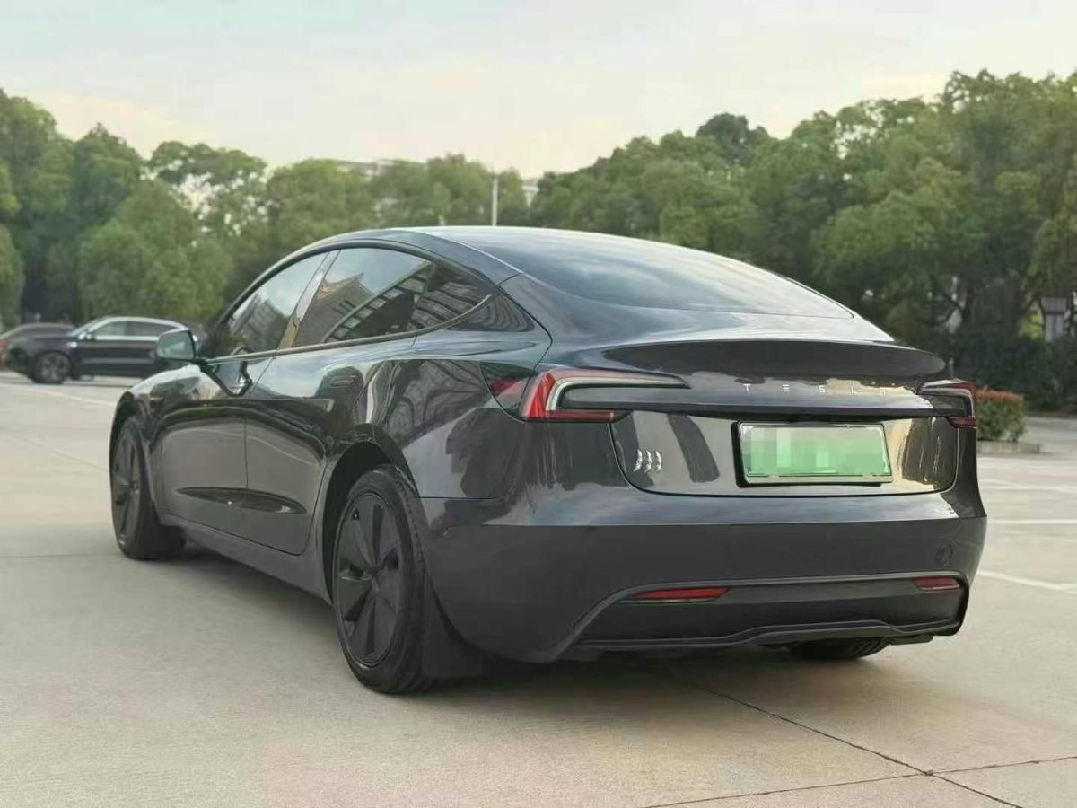 特斯拉 Model Y  2024款 Performance高性能版圖片