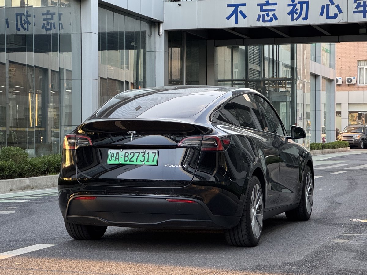 特斯拉 Model Y  2020款 改款 長(zhǎng)續(xù)航后輪驅(qū)動(dòng)版圖片