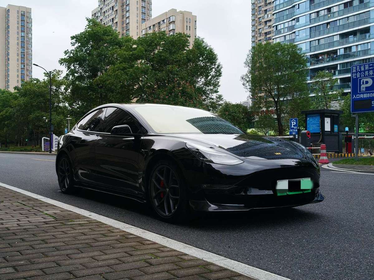 特斯拉 Model 3  2021款 Performance高性能全轮驱动版图片