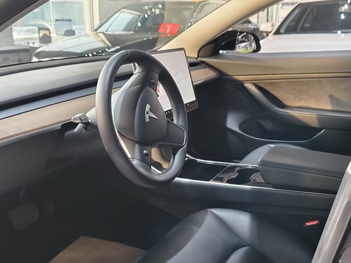 特斯拉 Model 3  2019款 標(biāo)準(zhǔn)續(xù)航后驅(qū)升級(jí)版圖片