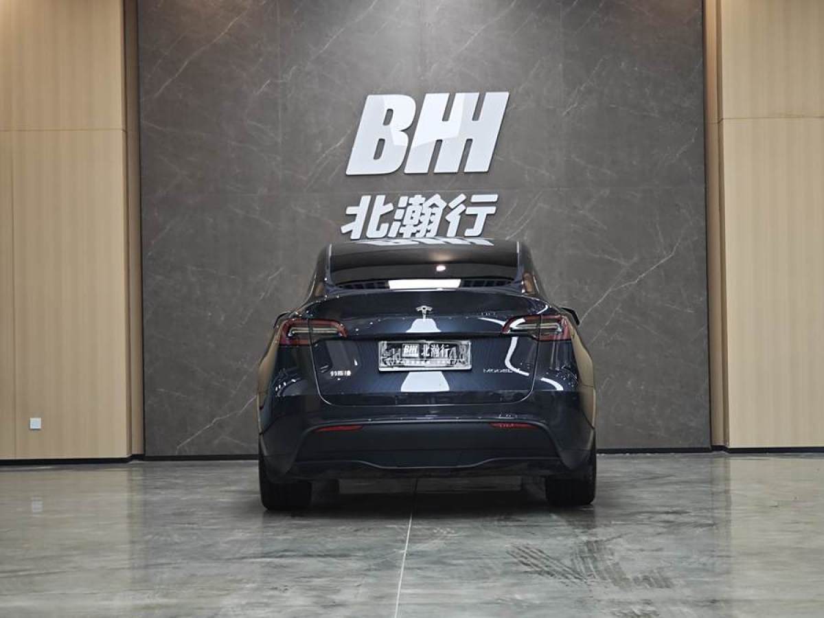 特斯拉 Model Y  2020款 改款 長續(xù)航后輪驅(qū)動版圖片