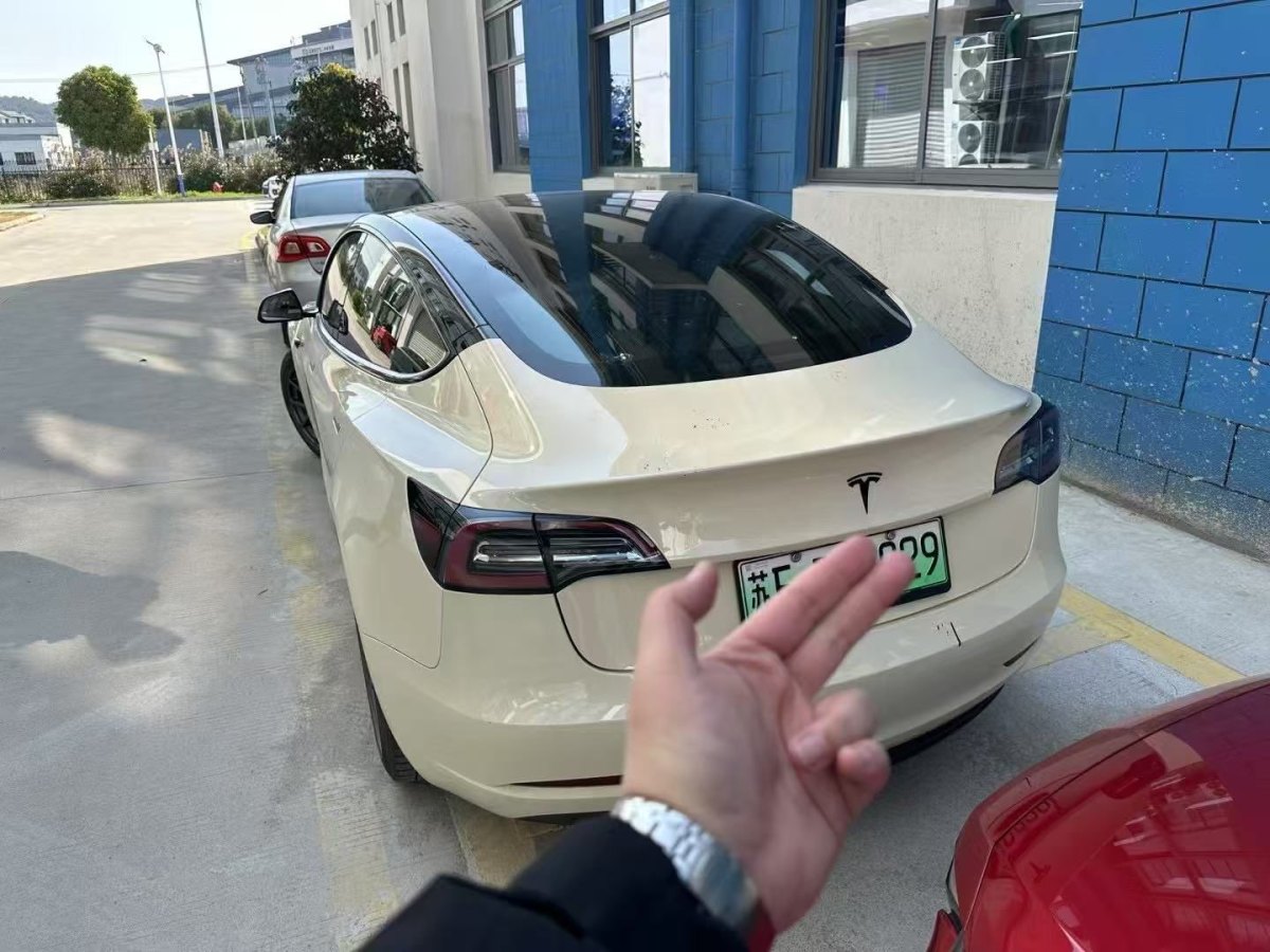 特斯拉 Model 3  2019款 標準續(xù)航后驅(qū)升級版圖片