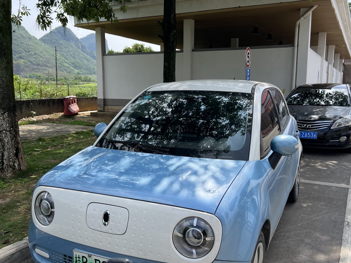 2019年6月歐拉 歐拉黑貓  2019款 2019款 351km 親子版