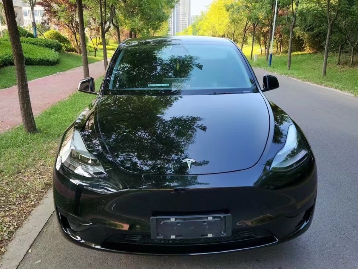 特斯拉 Model 3  2022款 長(zhǎng)續(xù)航全輪驅(qū)動(dòng)版圖片