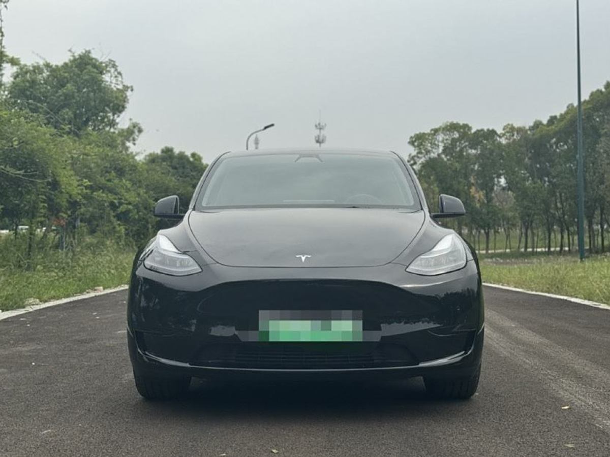 特斯拉 Model Y  2022款 后輪驅(qū)動版圖片