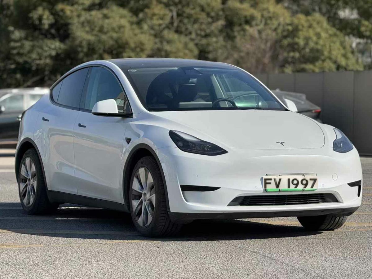 特斯拉 Model 3  2022款 Performance高性能全輪驅(qū)動(dòng)版圖片