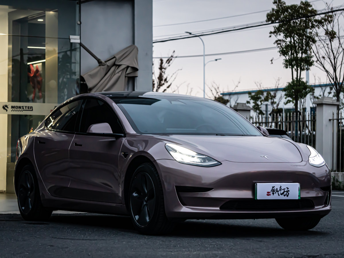 特斯拉 Model 3  2019款 標準續(xù)航后驅(qū)升級版圖片