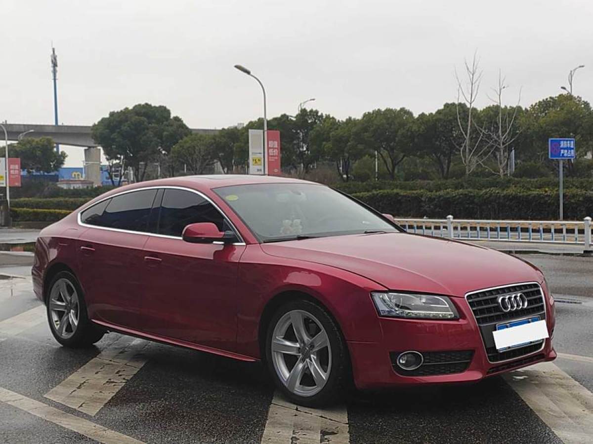 奧迪 奧迪A5  2010款 2.0TFSI Sportback 技術型圖片