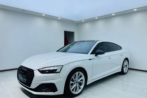 奧迪A5 奧迪 Sportback 40 TFSI 時(shí)尚致雅型