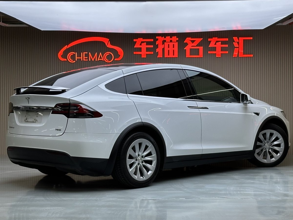 特斯拉 Model X  2016款 Model X 75D圖片