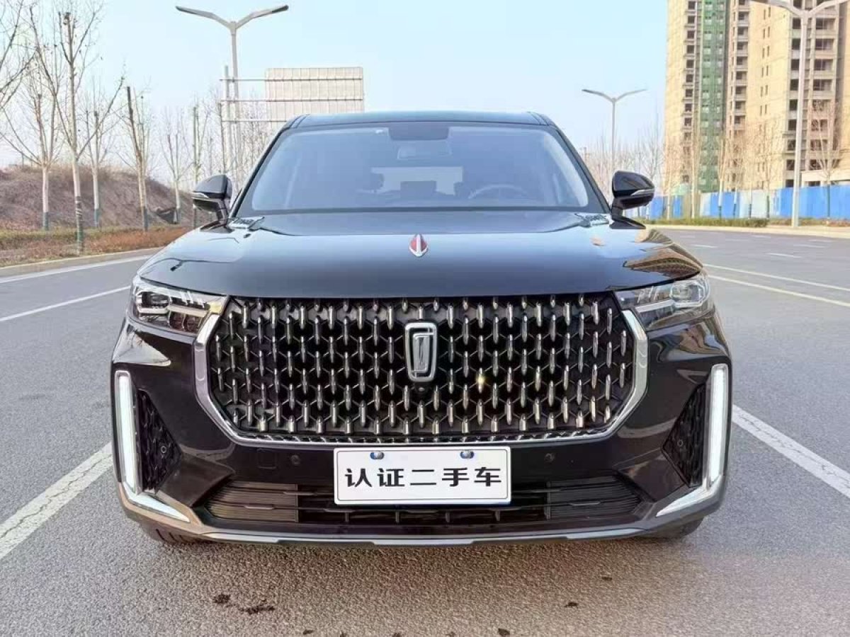 奔騰 T99  2020款 20TD 自動運動豪華型圖片