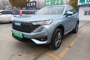 哈弗H6新能源 哈弗 DHT-PHEV 110KM 暢行版