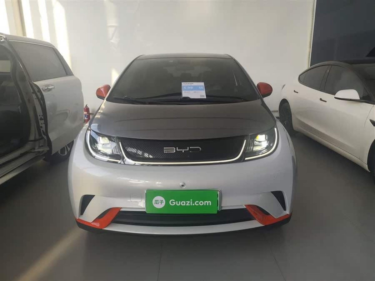 比亞迪 海豚  2021款 405km 時(shí)尚版圖片