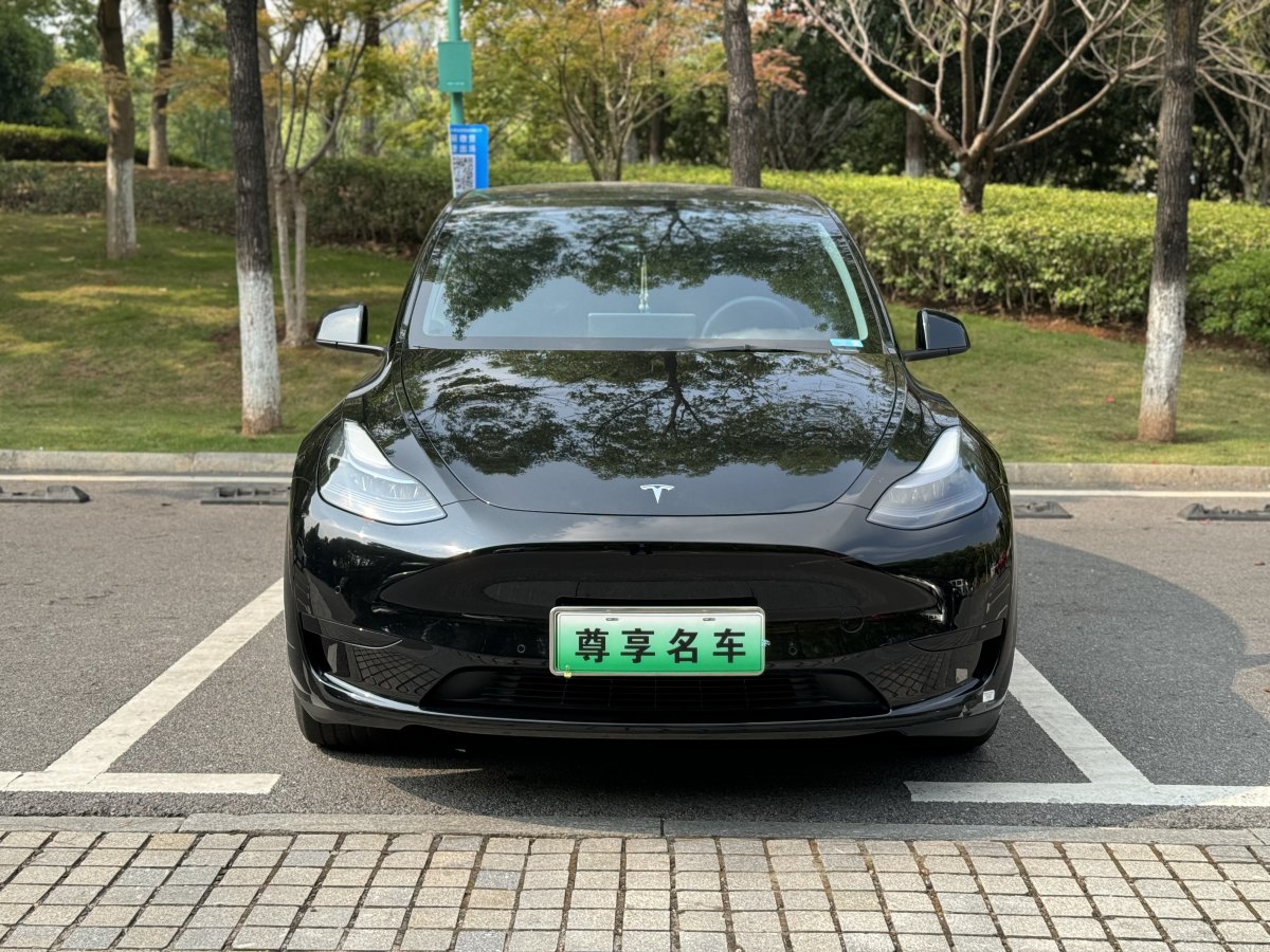 特斯拉 Model Y  2020款 改款 長續(xù)航后輪驅(qū)動版圖片