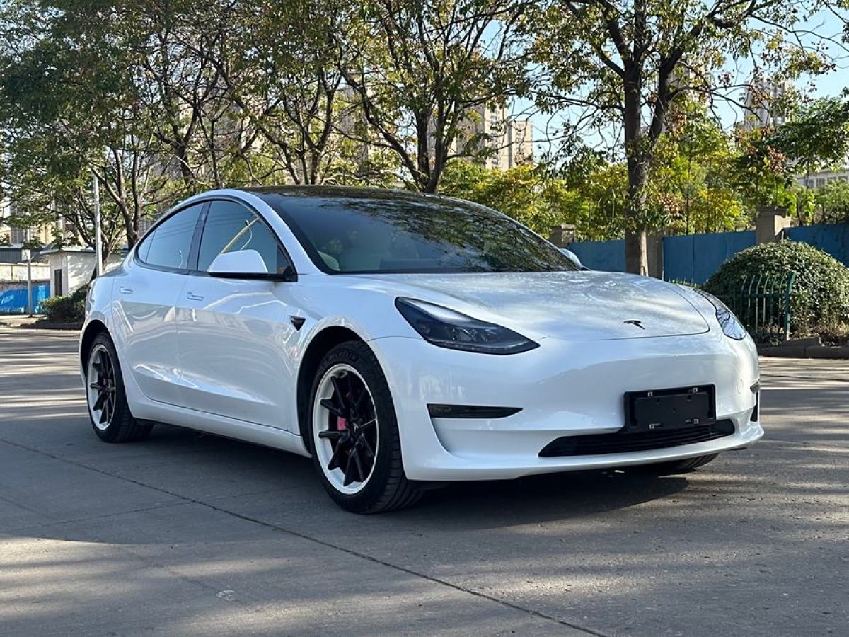 特斯拉 Model 3  2020款 改款 長(zhǎng)續(xù)航后輪驅(qū)動(dòng)版圖片