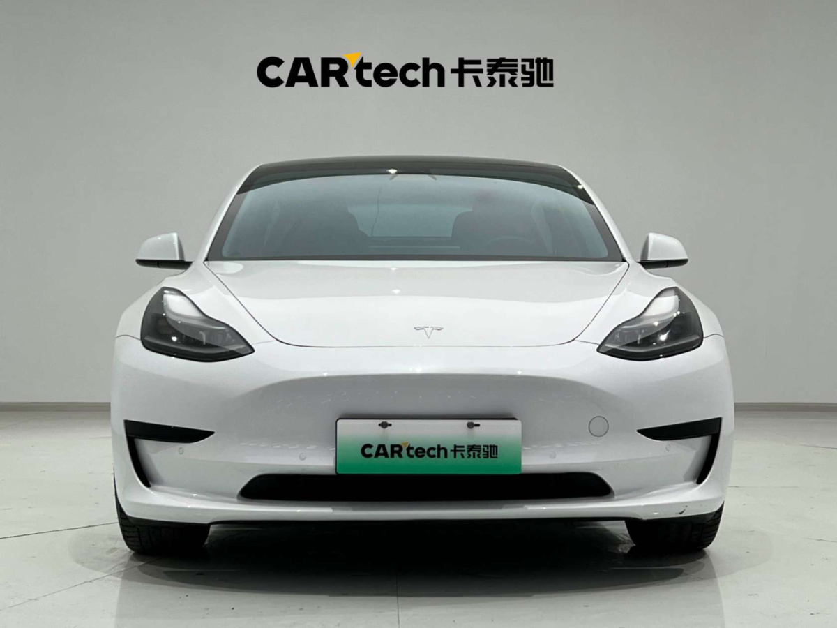 特斯拉 Model 3  2021款 標(biāo)準(zhǔn)續(xù)航后驅(qū)升級版圖片