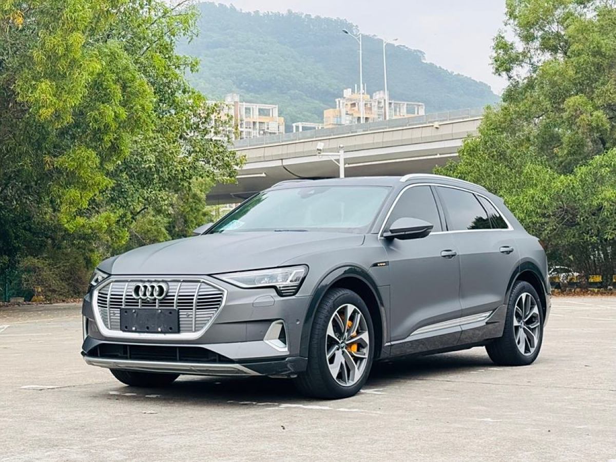 2020年7月奧迪 奧迪e-tron  2019款 55 quattro 專享型