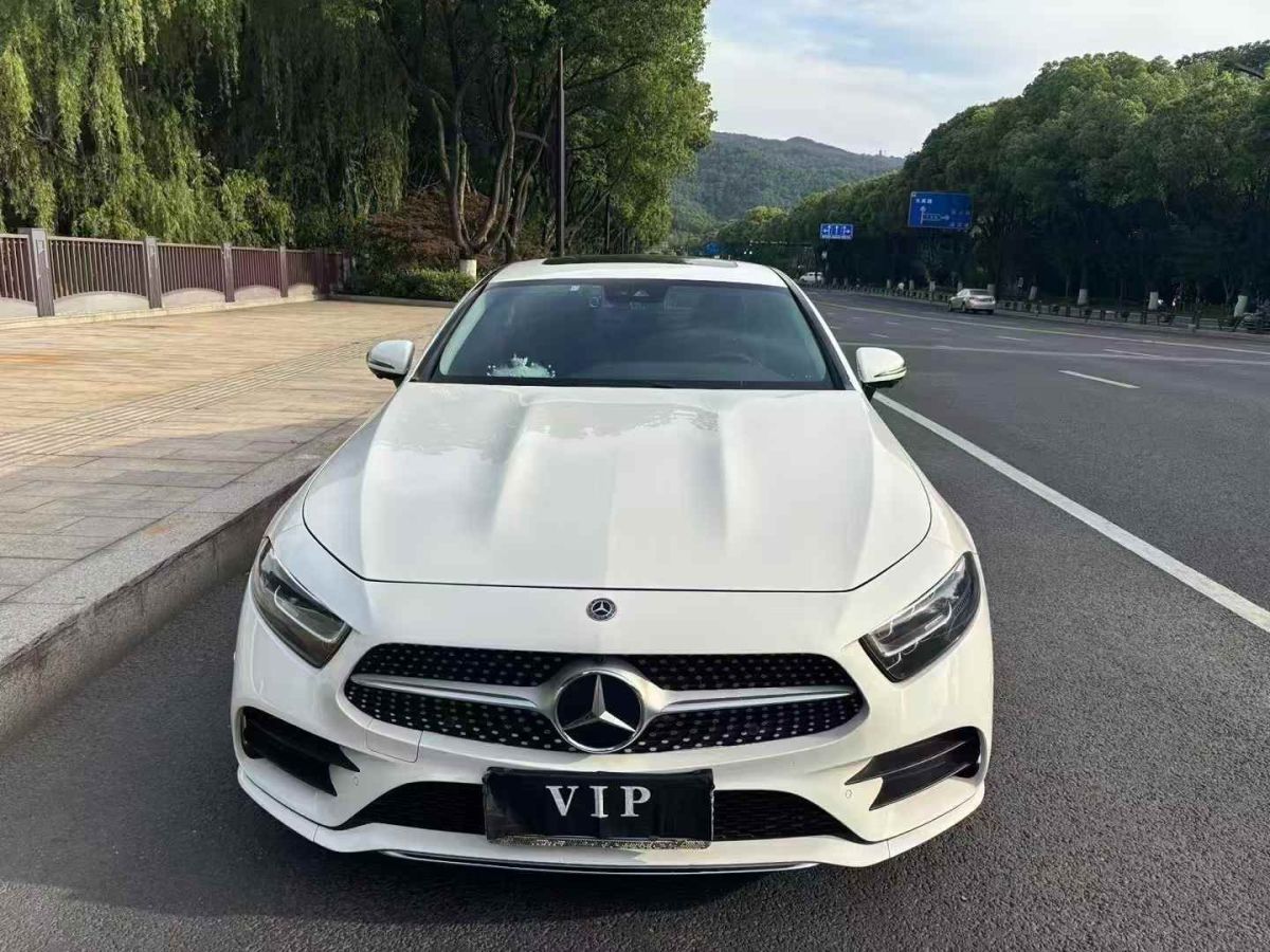 奔馳 奔馳CLS級  2021款 CLS 300 豪華型圖片