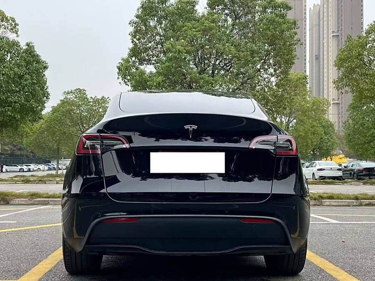 特斯拉 Model 3  2023款 長續(xù)航煥新版 雙電機(jī)全輪驅(qū)動圖片