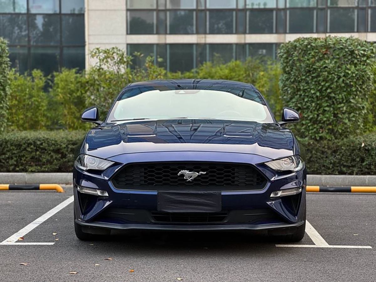 福特 Mustang  2020款 2.3L EcoBoost圖片