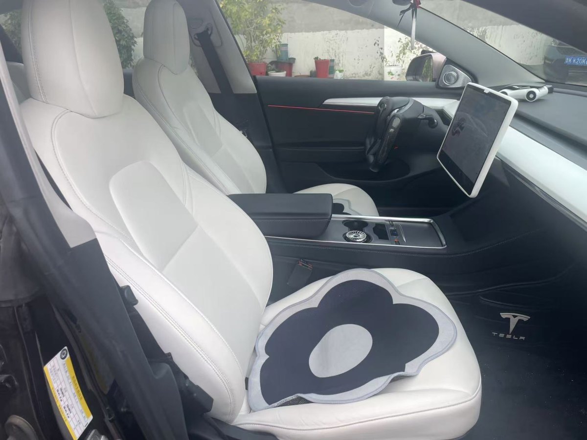 特斯拉 Model 3  2019款 標(biāo)準(zhǔn)續(xù)航后驅(qū)升級版圖片