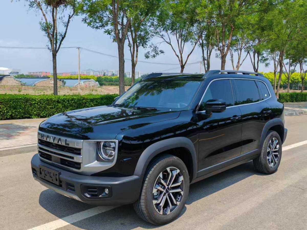 哈弗 哈弗大狗  2024款 1.5T DCT邊牧版圖片