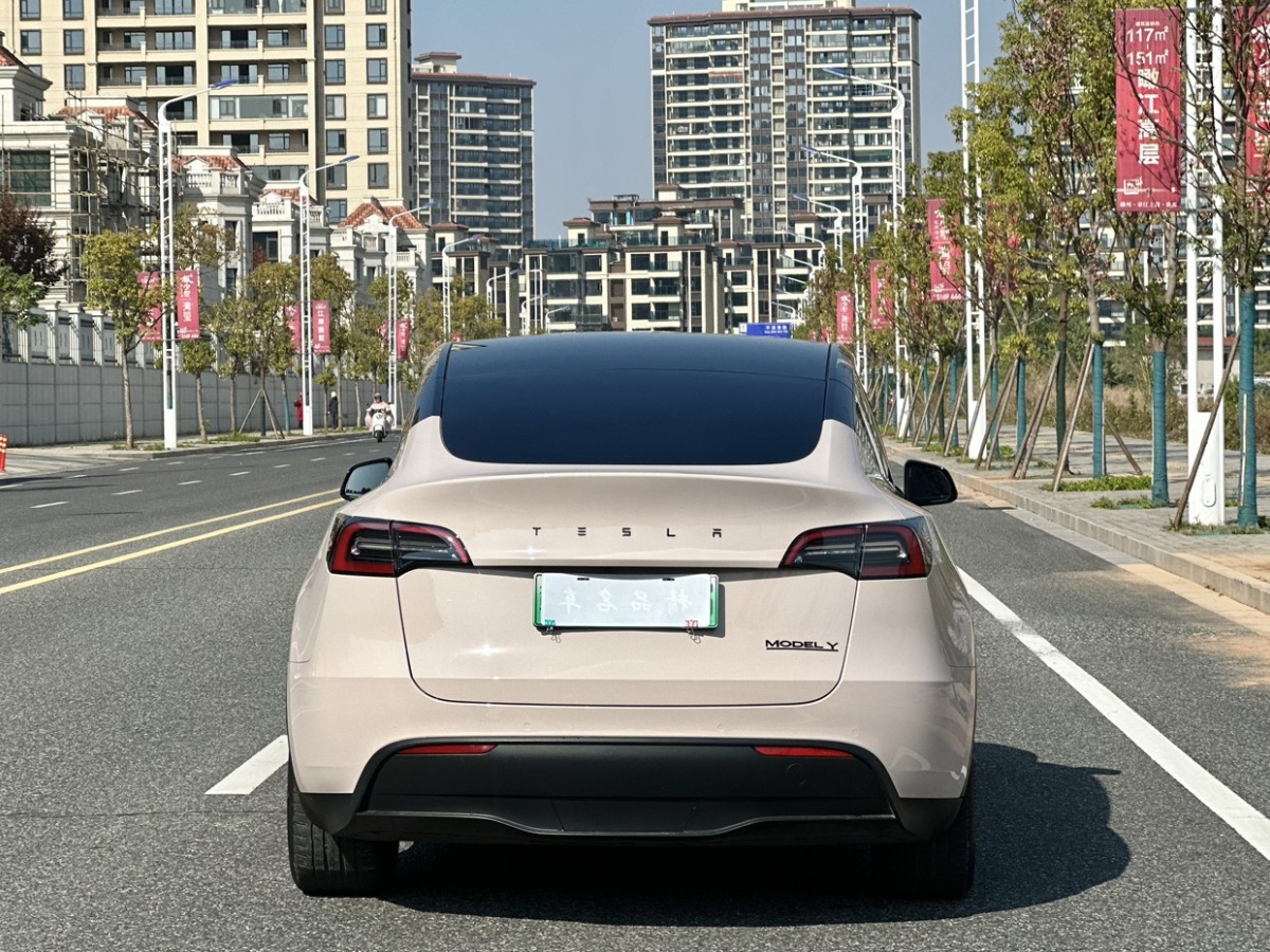 特斯拉 Model 3  2021款 改款 標準續(xù)航后驅(qū)升級版圖片