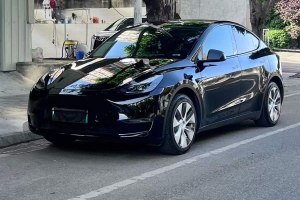 Model Y 特斯拉 改款 后輪驅(qū)動(dòng)版