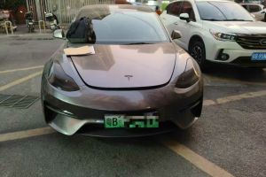 Model Y 特斯拉 標(biāo)準(zhǔn)續(xù)航后驅(qū)版