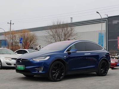 2018年10月 特斯拉 Model X Model X 100D 長續(xù)航版圖片