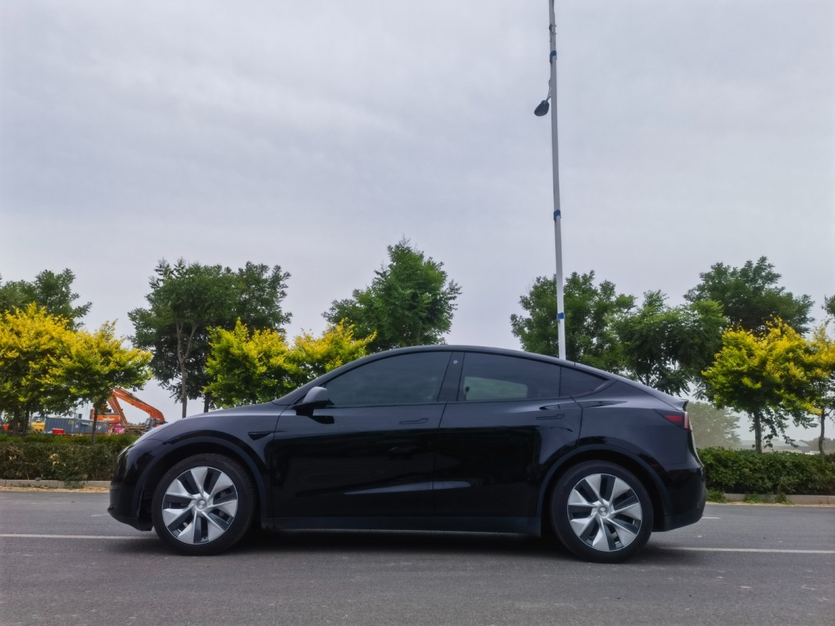 特斯拉 Model Y  2022款 后輪驅(qū)動版圖片