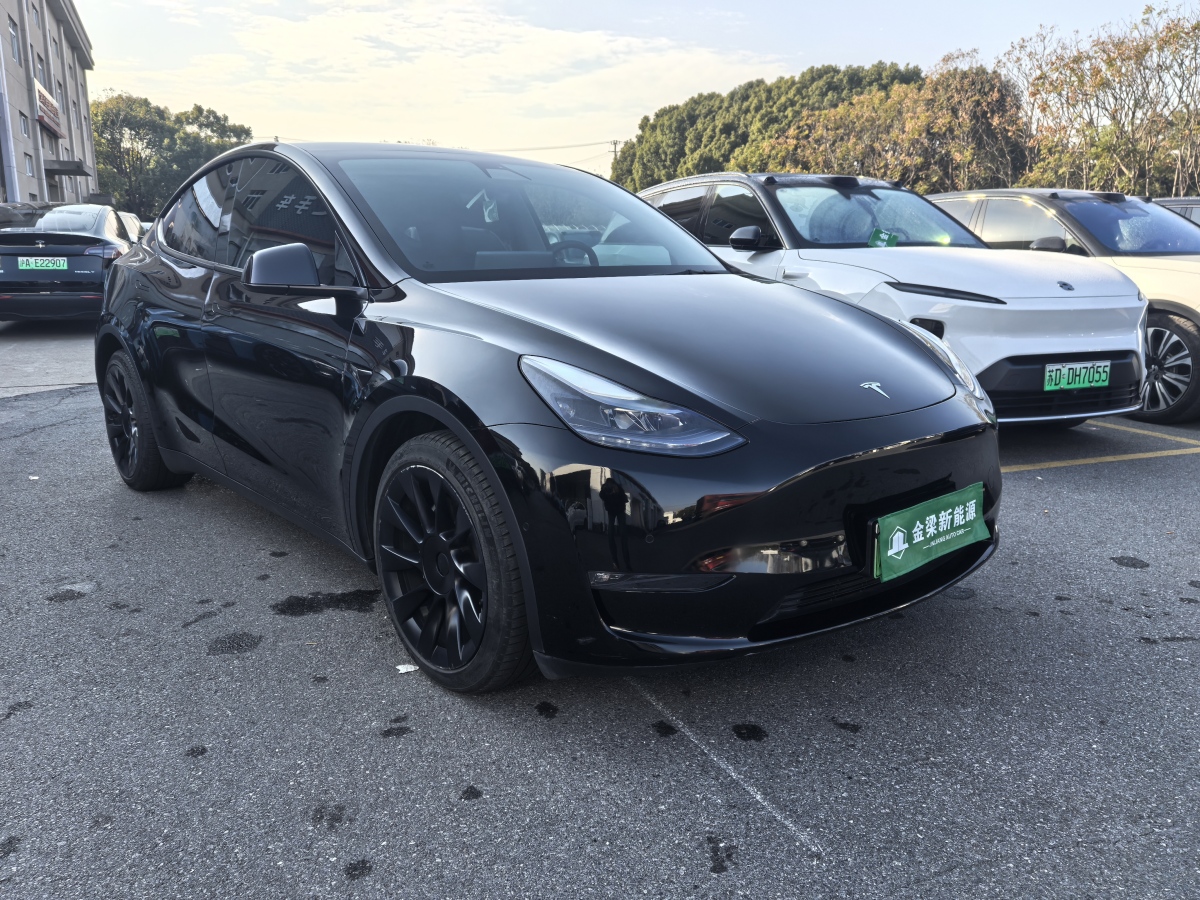 特斯拉 Model 3  2021款 改款 標(biāo)準(zhǔn)續(xù)航后驅(qū)升級(jí)版圖片