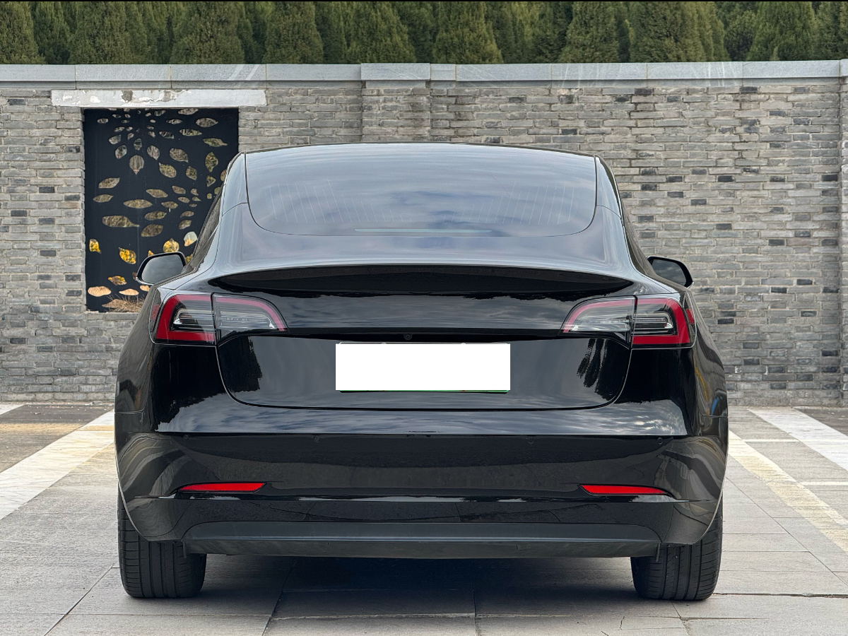 特斯拉 Model 3  2019款 標準續(xù)航后驅升級版圖片