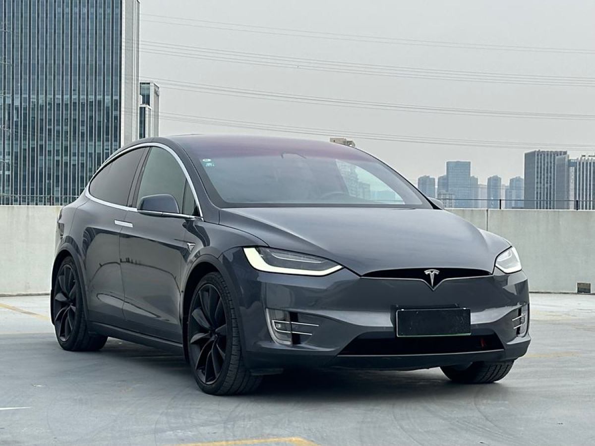 特斯拉 Model X  2019款 長續(xù)航版圖片