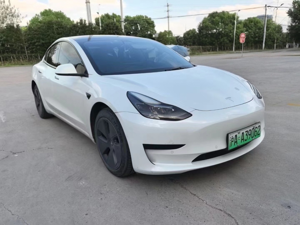 特斯拉 Model 3  2021款 標(biāo)準(zhǔn)續(xù)航后驅(qū)升級版 3D6圖片