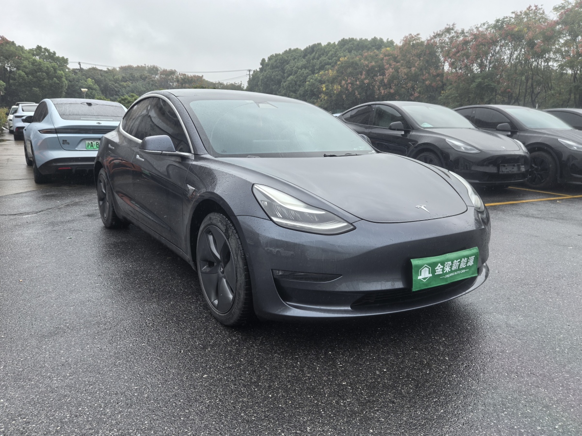 2019年12月特斯拉 Model 3  2019款 長(zhǎng)續(xù)航全輪驅(qū)動(dòng)版