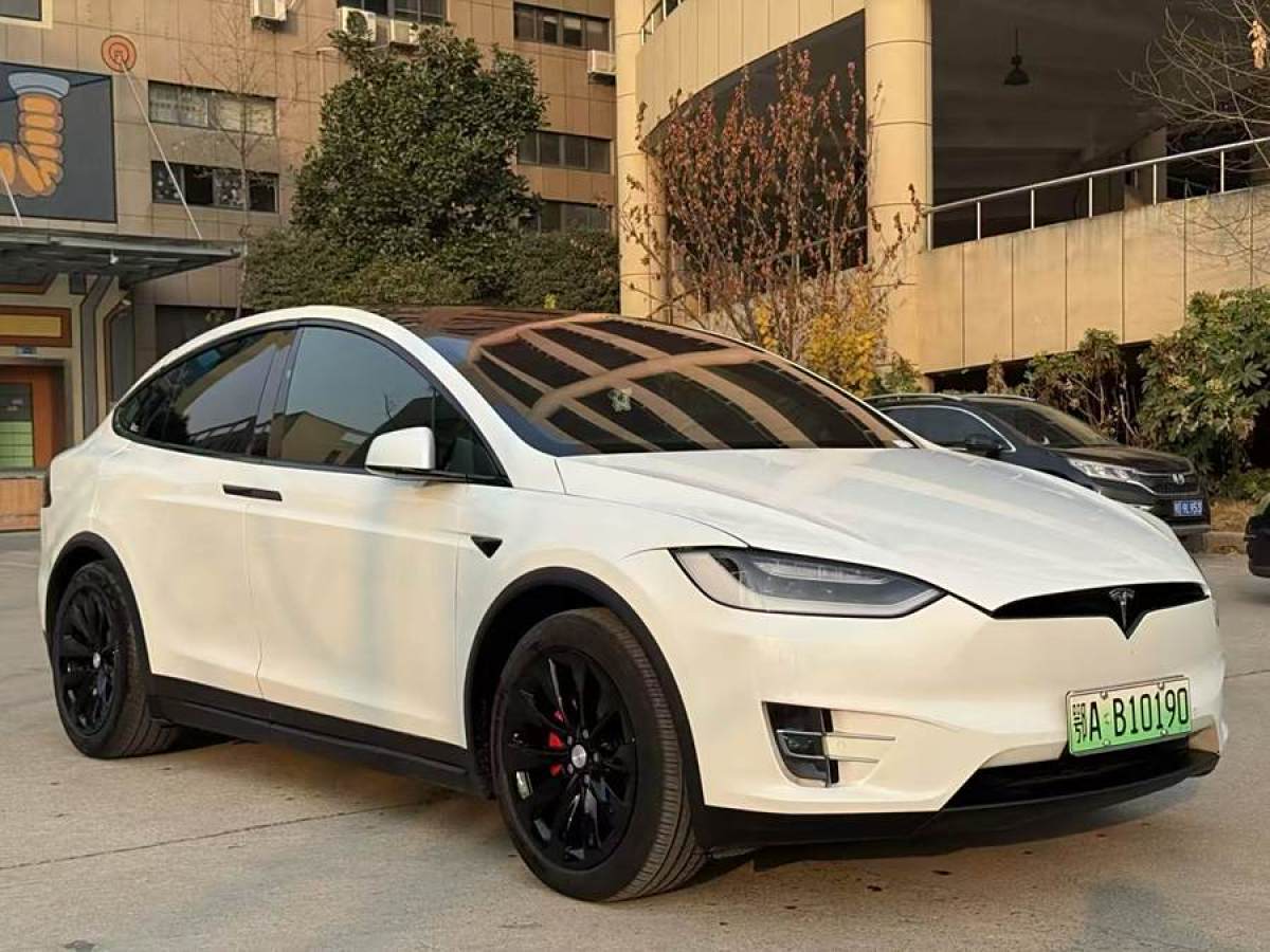 2019年1月特斯拉 Model X  2017款 Model X 100D 長續(xù)航版